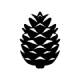 Pinecone